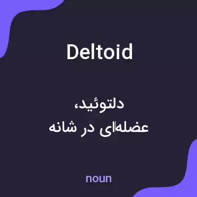 معنی deltoid به فارسی معنی deltoid به فارسی