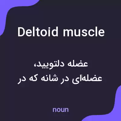معنی deltoid muscle به فارسی معنی deltoid muscle به فارسی