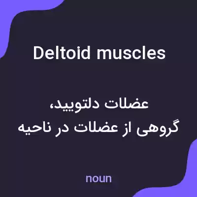 معنی deltoid muscles به فارسی معنی deltoid muscles به فارسی