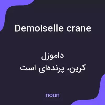 معنی demoiselle crane به فارسی معنی demoiselle crane به فارسی