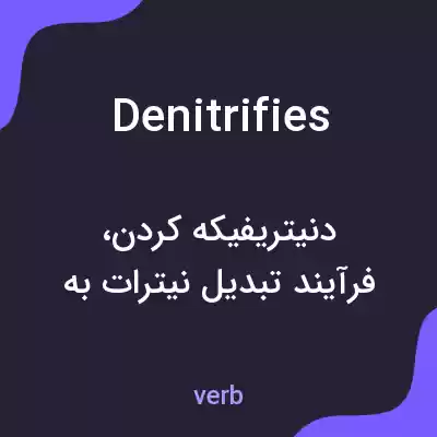 معنی denitrifies به فارسی معنی denitrifies به فارسی