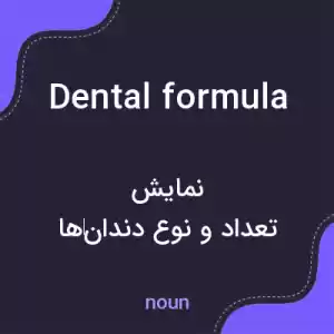 معنی dental formula به فارسی معنی dental formula به فارسی