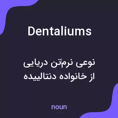 معنی dentaliums به فارسی معنی dentaliums به فارسی