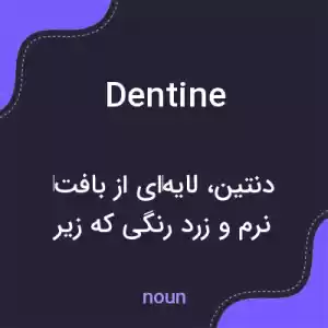 معنی dentine به فارسی معنی dentine به فارسی