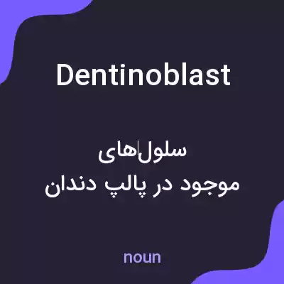 معنی dentinoblast به فارسی معنی dentinoblast به فارسی