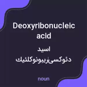 معنی deoxyribonucleic acid به فارسی