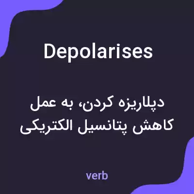 معنی depolarises به فارسی معنی depolarises به فارسی