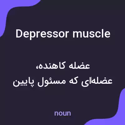 معنی depressor muscle به فارسی معنی depressor muscle به فارسی