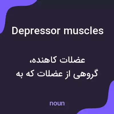 معنی depressor muscles به فارسی معنی depressor muscles به فارسی
