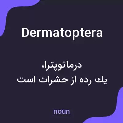 معنی dermatoptera به فارسی معنی dermatoptera به فارسی
