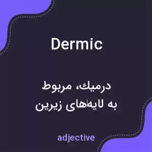 معنی dermic به فارسی معنی dermic به فارسی