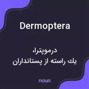 معنی dermoptera به فارسی معنی dermoptera به فارسی