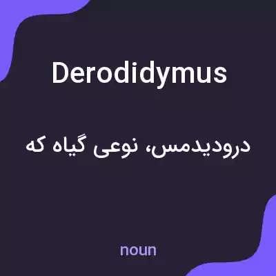 معنی derodidymus به فارسی معنی derodidymus به فارسی