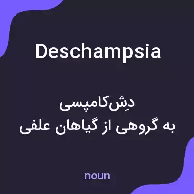 معنی deschampsia به فارسی معنی deschampsia به فارسی