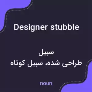 معنی designer stubble به فارسی معنی designer stubble به فارسی