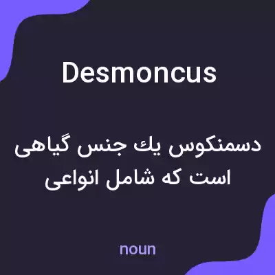 معنی desmoncus به فارسی معنی desmoncus به فارسی