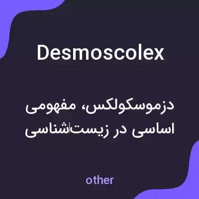 معنی desmoscolex به فارسی معنی desmoscolex به فارسی