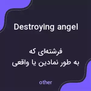 معنی destroying angel به فارسی معنی destroying angel به فارسی