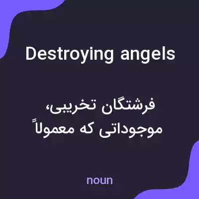 معنی destroying angels به فارسی