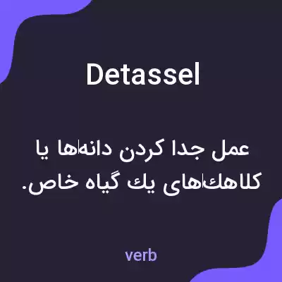معنی detassel به فارسی معنی detassel به فارسی