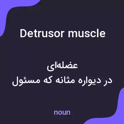 معنی detrusor muscle به فارسی معنی detrusor muscle به فارسی