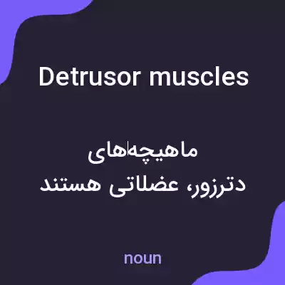 معنی detrusor muscles به فارسی معنی detrusor muscles به فارسی