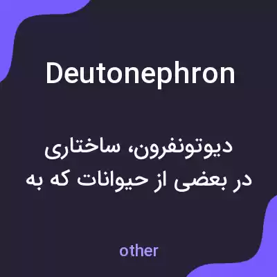 معنی deutonephron به فارسی