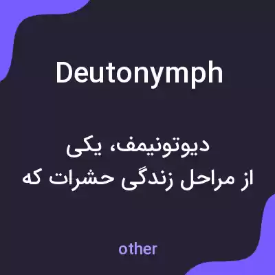 معنی deutonymph به فارسی معنی deutonymph به فارسی