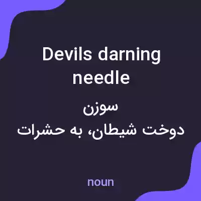 معنی devils darning needle به فارسی معنی devils darning needle به فارسی