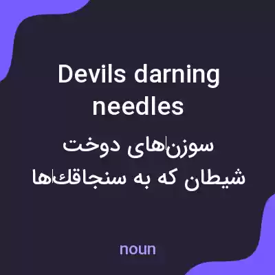 معنی devils darning needles به فارسی معنی devils darning needles به فارسی