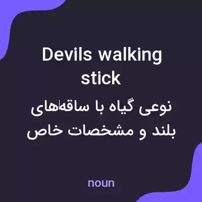 معنی devils walking stick به فارسی