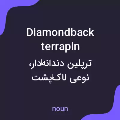 معنی diamondback terrapin به فارسی معنی diamondback terrapin به فارسی