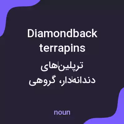 معنی diamondback terrapins به فارسی معنی diamondback terrapins به فارسی