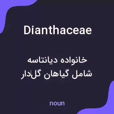 معنی dianthaceae به فارسی معنی dianthaceae به فارسی
