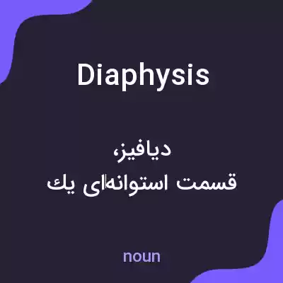 معنی diaphysis به فارسی