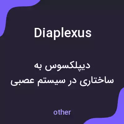 معنی diaplexus به فارسی معنی diaplexus به فارسی