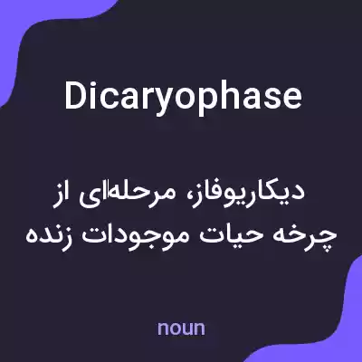 معنی dicaryophase به فارسی