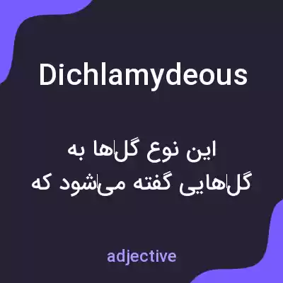 معنی dichlamydeous به فارسی معنی dichlamydeous به فارسی