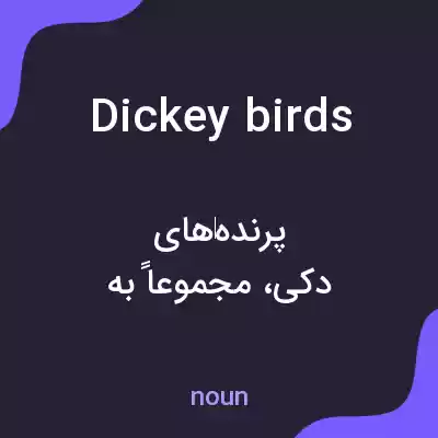معنی dickey birds به فارسی معنی dickey birds به فارسی