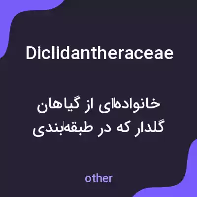 معنی diclidantheraceae به فارسی معنی diclidantheraceae به فارسی