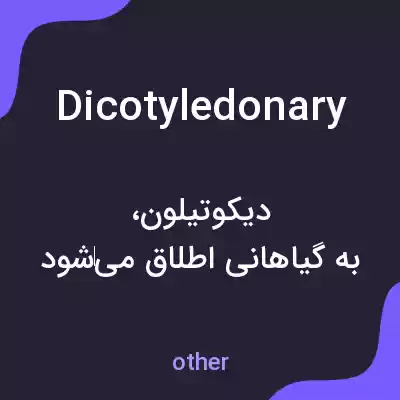 معنی dicotyledonary به فارسی معنی dicotyledonary به فارسی