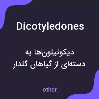 معنی dicotyledones به فارسی معنی dicotyledones به فارسی