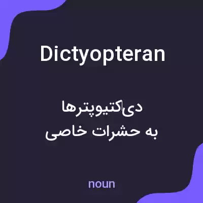 معنی dictyopteran به فارسی معنی dictyopteran به فارسی