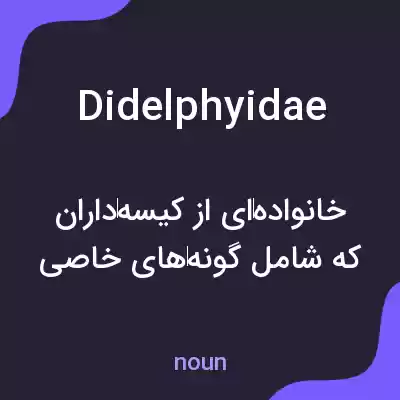 معنی didelphyidae به فارسی
