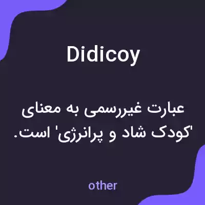 معنی didicoy به فارسی