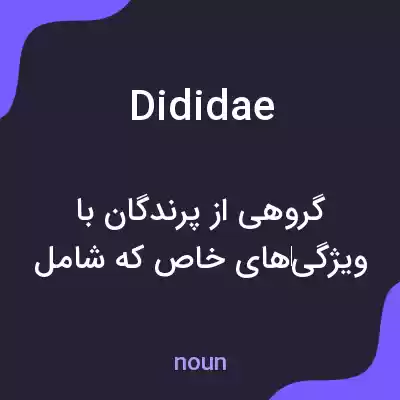 معنی dididae به فارسی معنی dididae به فارسی