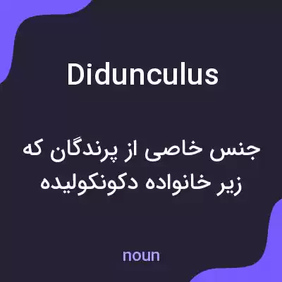 معنی didunculus به فارسی معنی didunculus به فارسی