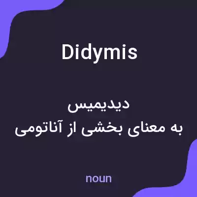 معنی didymis به فارسی معنی didymis به فارسی