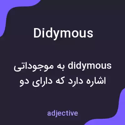 معنی didymous به فارسی معنی didymous به فارسی