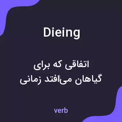 معنی dieing به فارسی معنی dieing به فارسی